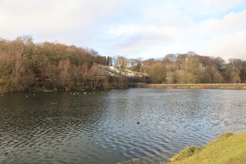 Free Beautiful winter view of a tranquil lake surrounded by bare trees and a cloudy sky in England. Stock Photo