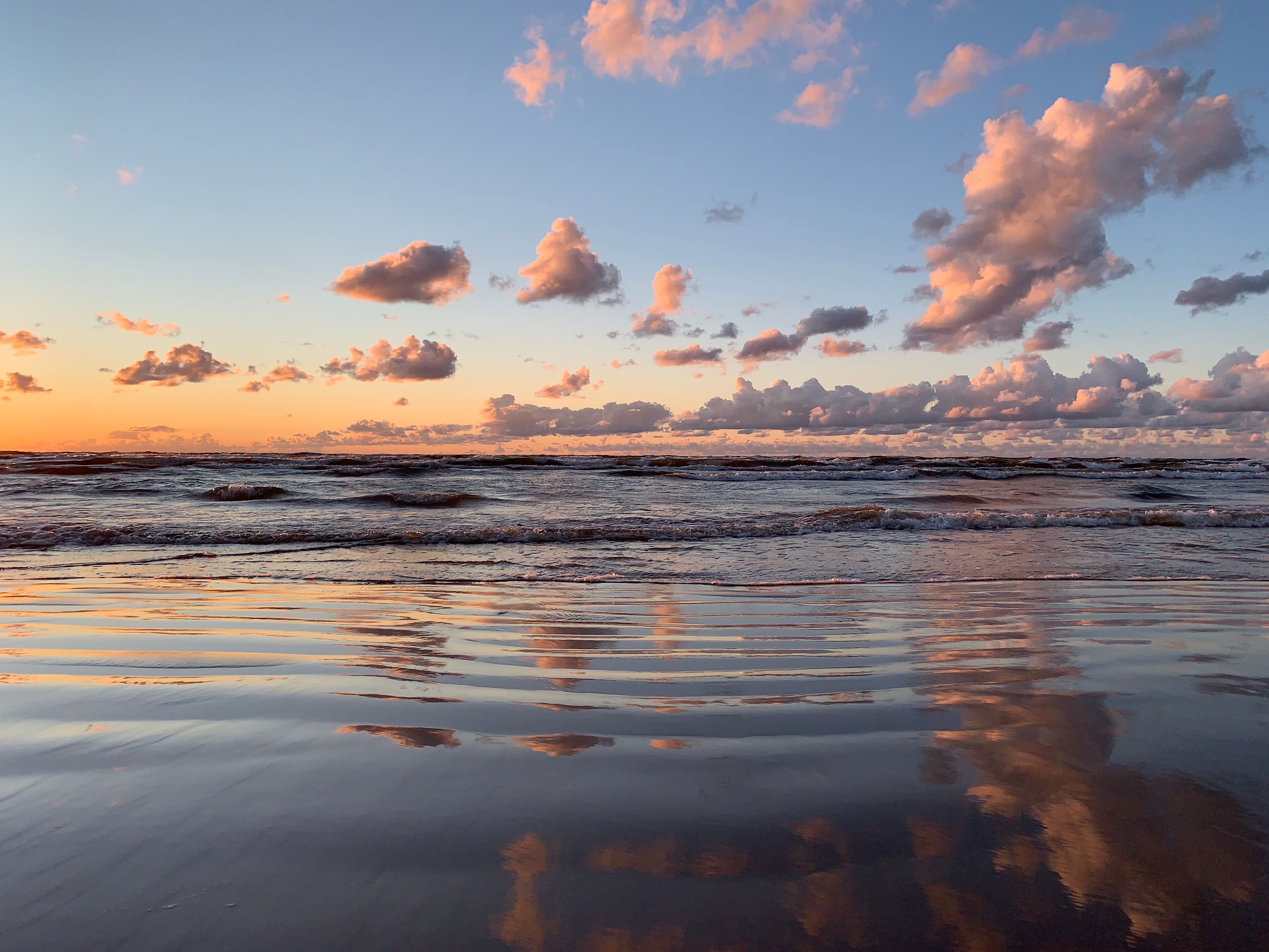 Sandy beach and pine trees in Jurmala, Latvia