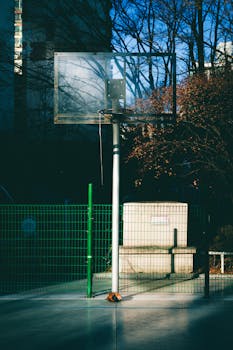A solitary basketball hoop on an outdoor court surrounded by trees and buildings, bathed in warm sunlight.