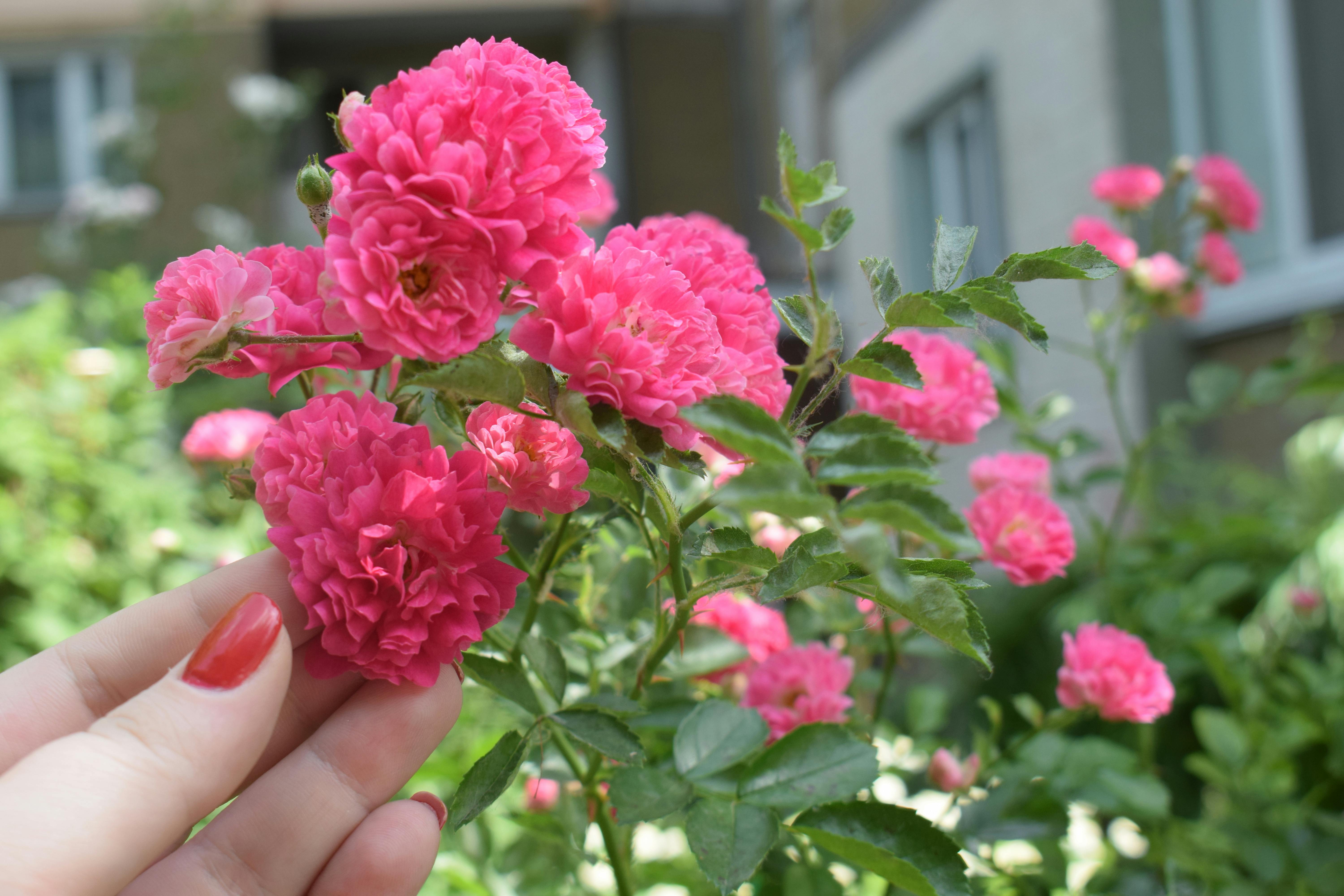 Balana da Justiça em um tribunal