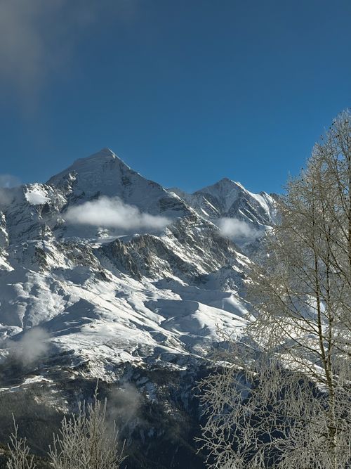 Free Scenic view of snow-covered mountains with clear blue skies and frosted trees. Stock Photo