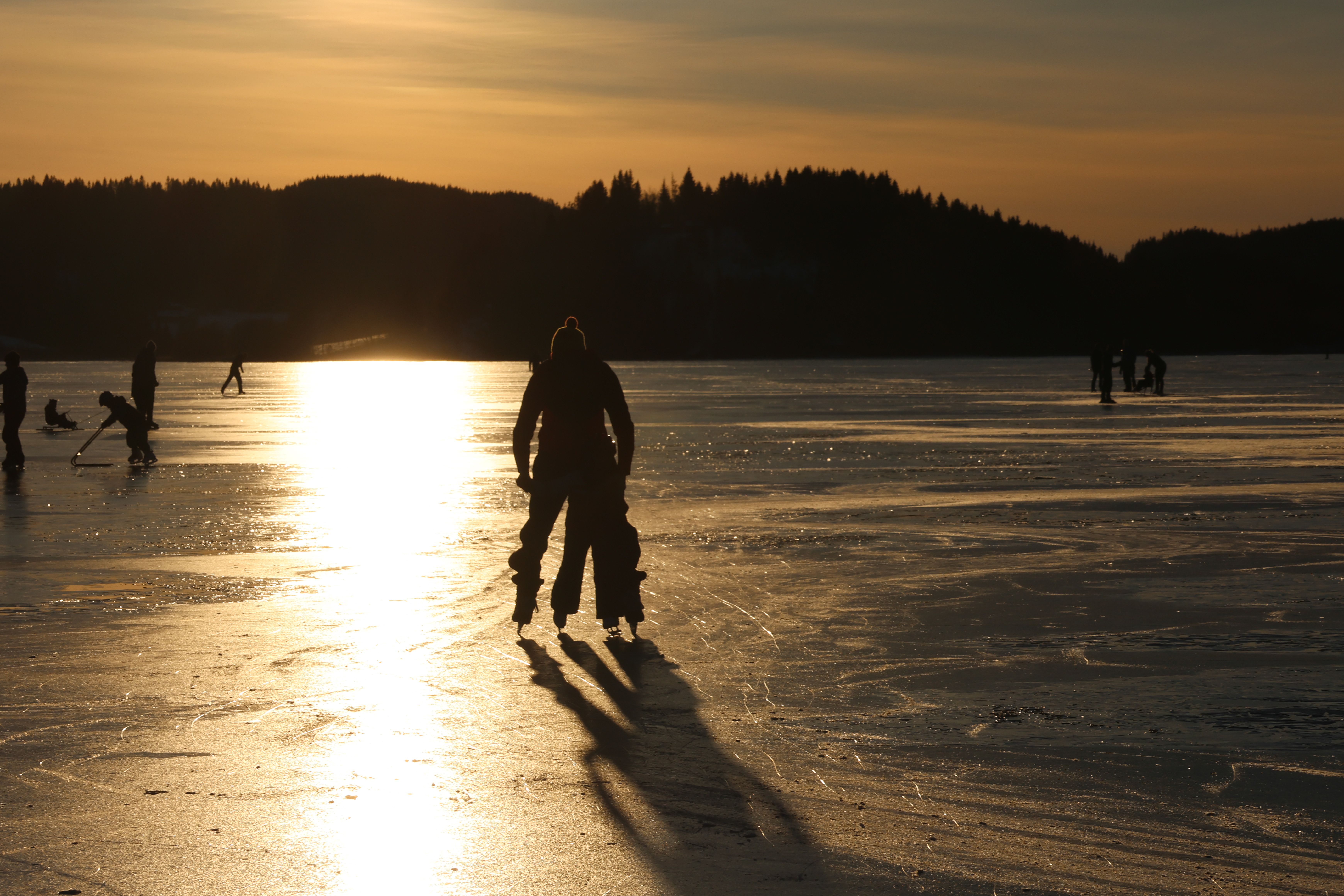 Photos gratuites de activité familiale, activité saisonnière, beauté naturelle