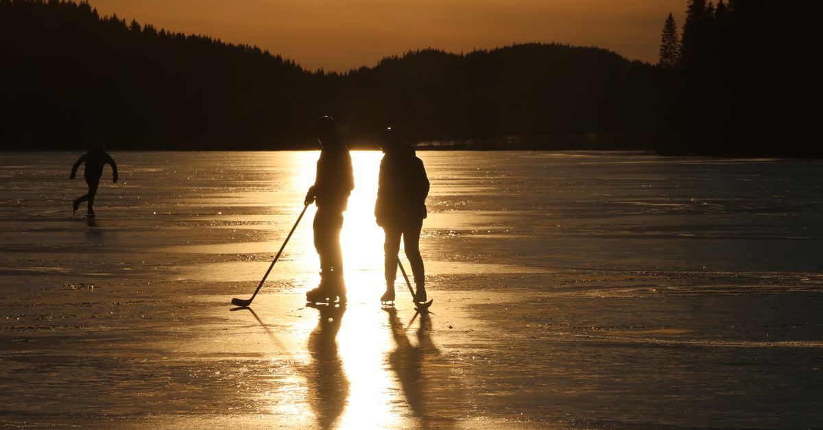Saints de Glace : Guide Complet Jardinage