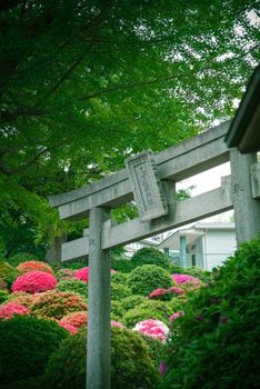 Serene torii gate in a garden with vibrant azaleas in Tokyo, Japan.