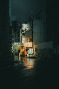 A dimly lit Tokyo street captures the essence of urban night life with glowing storefronts and wet pavements.