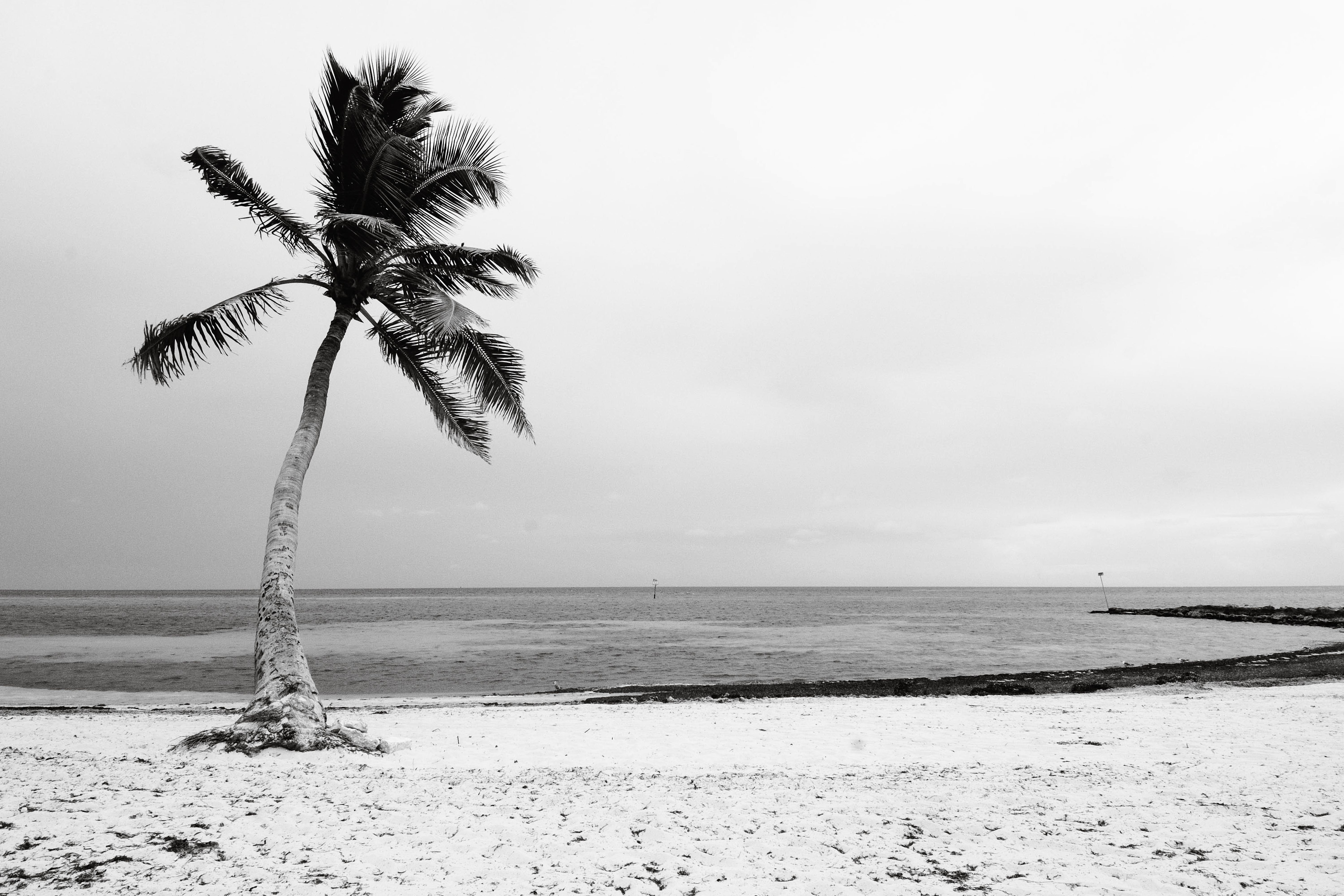 Photo by DΛVΞ GΛRCIΛ on Pexels