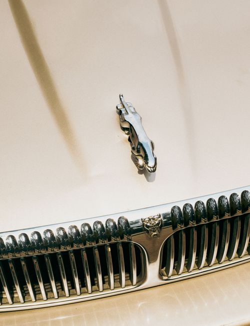 Free Detailed view of a classic Jaguar car hood ornament and grille shining in daylight. Stock Photo