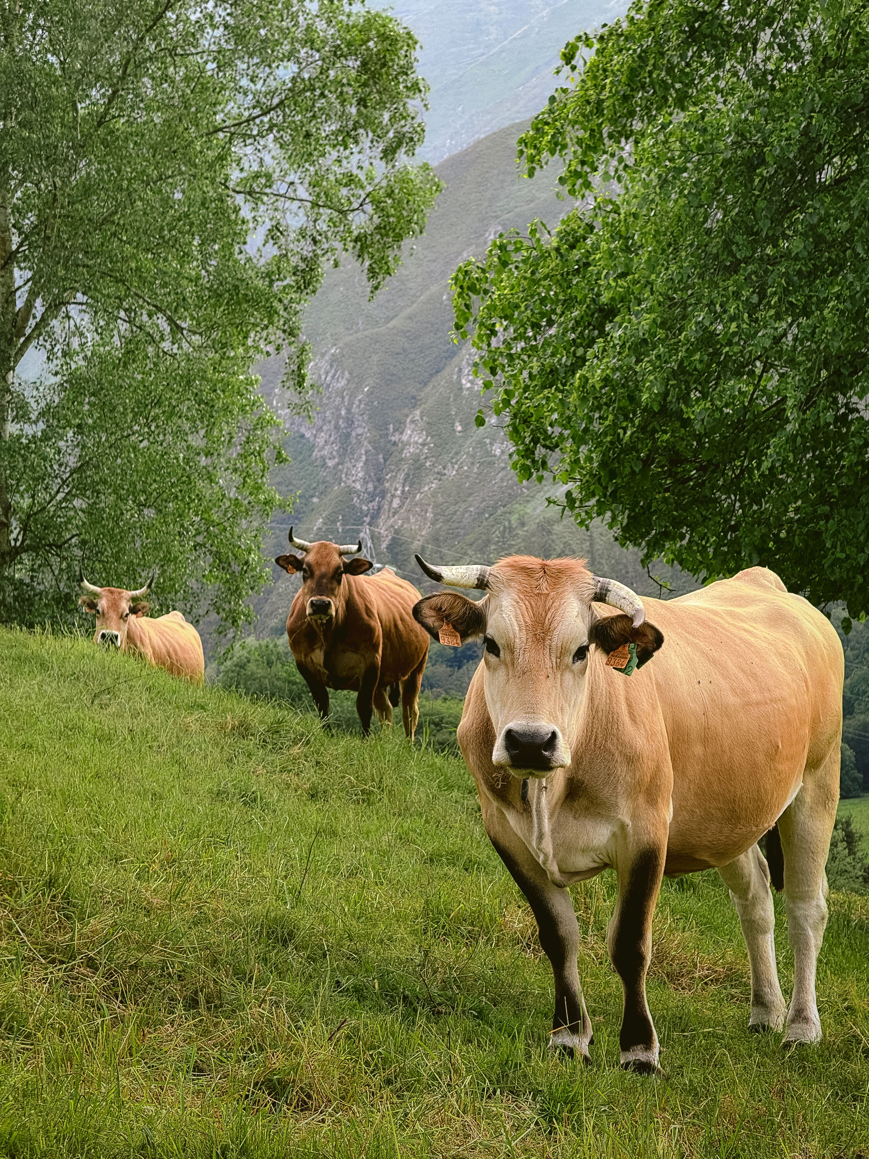 Fotomural Fotolia
