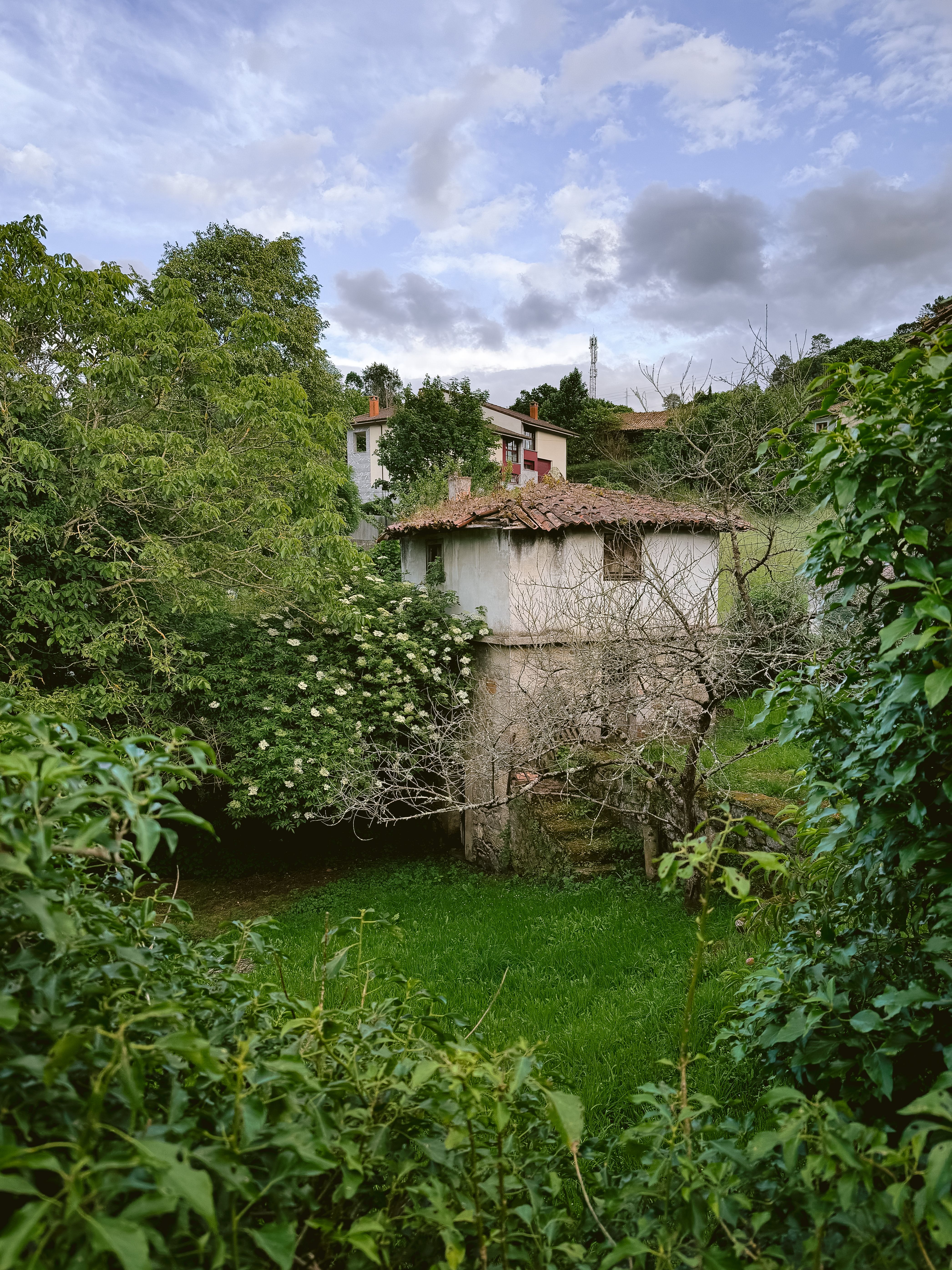 Beautiful rural house surrounded by lush greenery in Кангас-де-Онис, Spain.