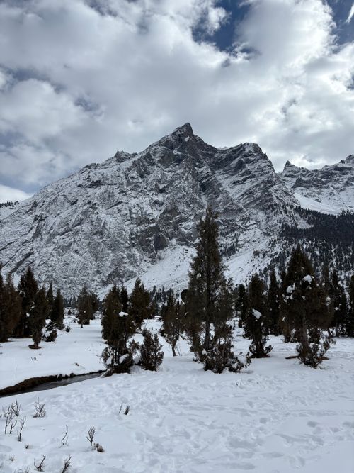 Free Majestic snowy mountain landscape with pine trees and cloudy sky. Stock Photo