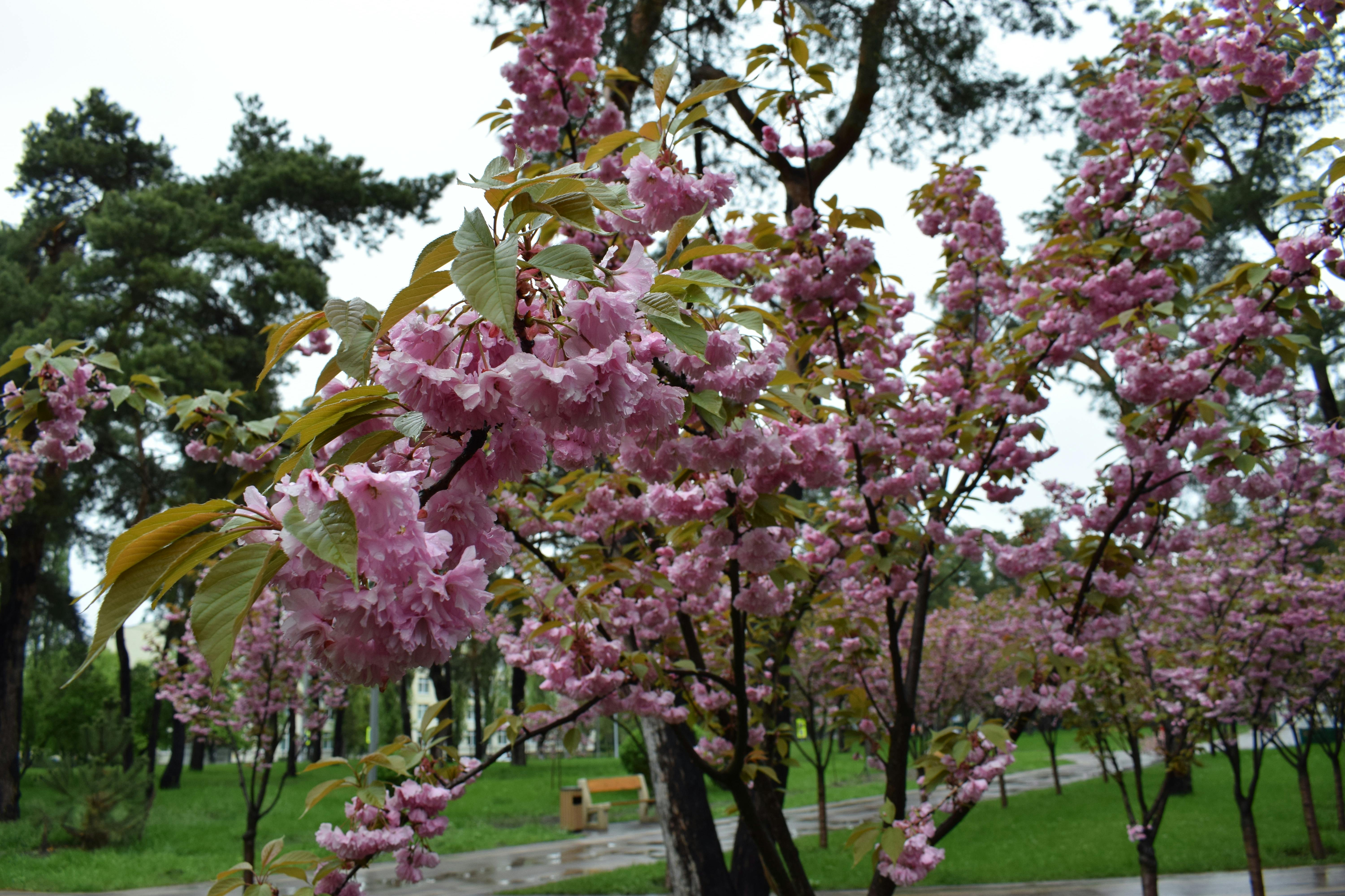 Улыбка ребенка