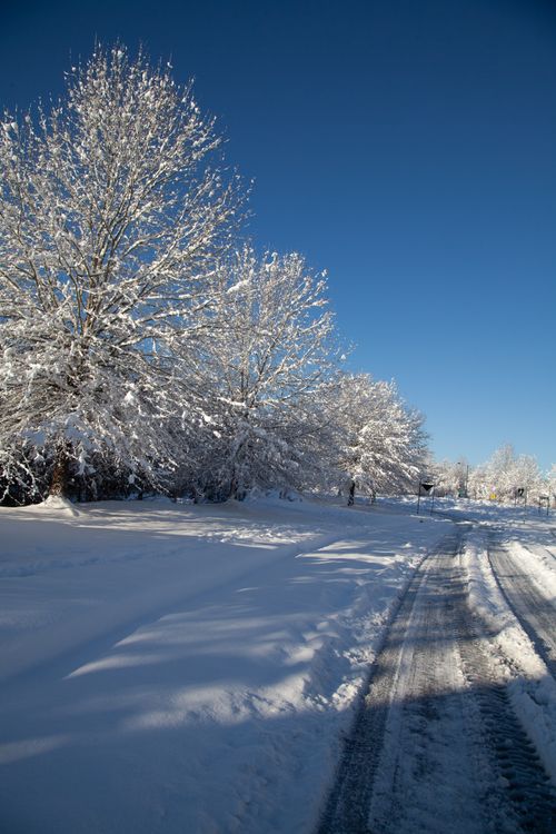 Free Beautiful snow-covered trees and road during winter in North Carolina, USA. Stock Photo