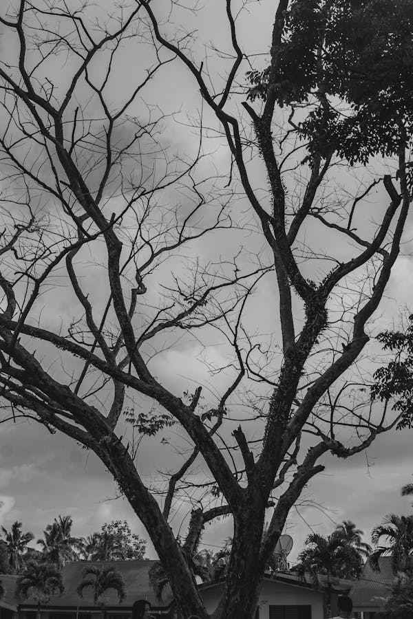 El 'Intervalo' de Génesis 1: ¿Herejía Moderna o Verdad Bíblica Oculta?