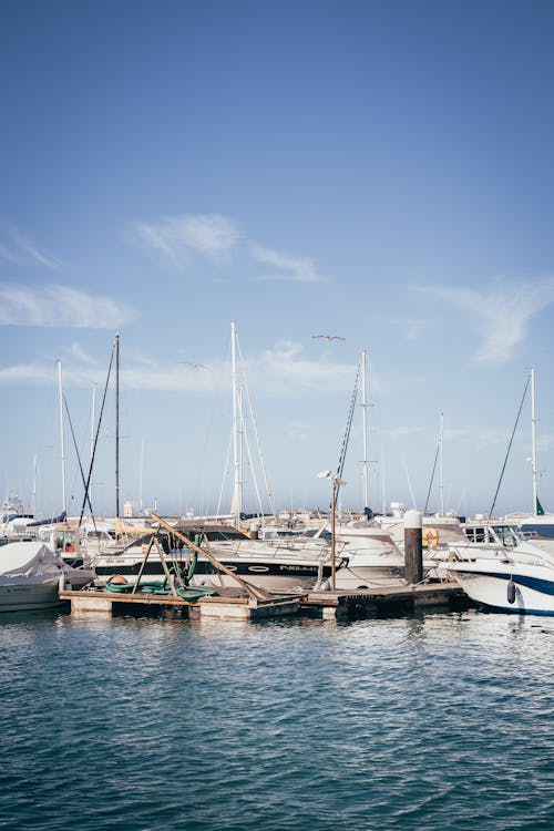 Bateaux Sur Quai