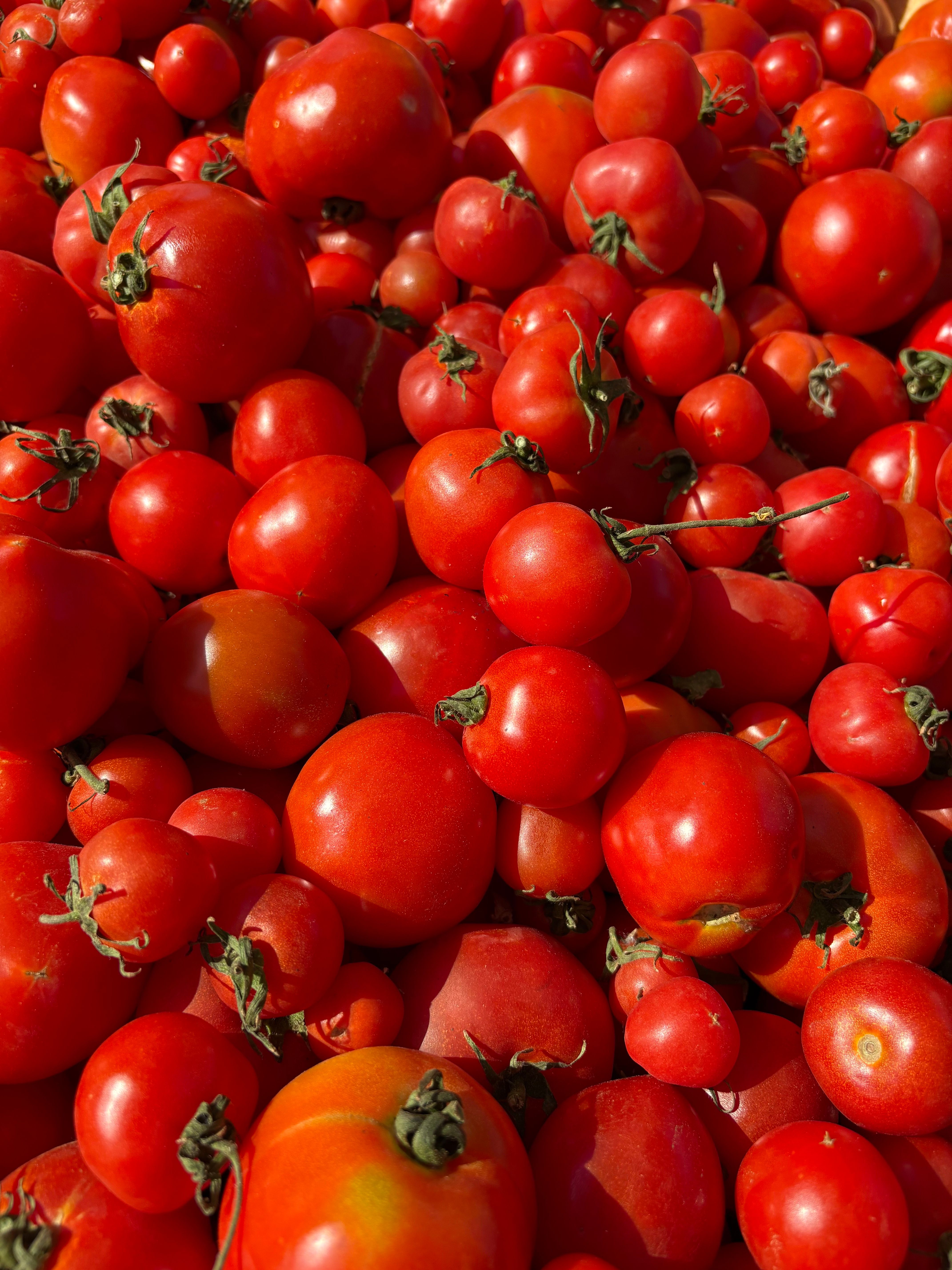 San Marzano