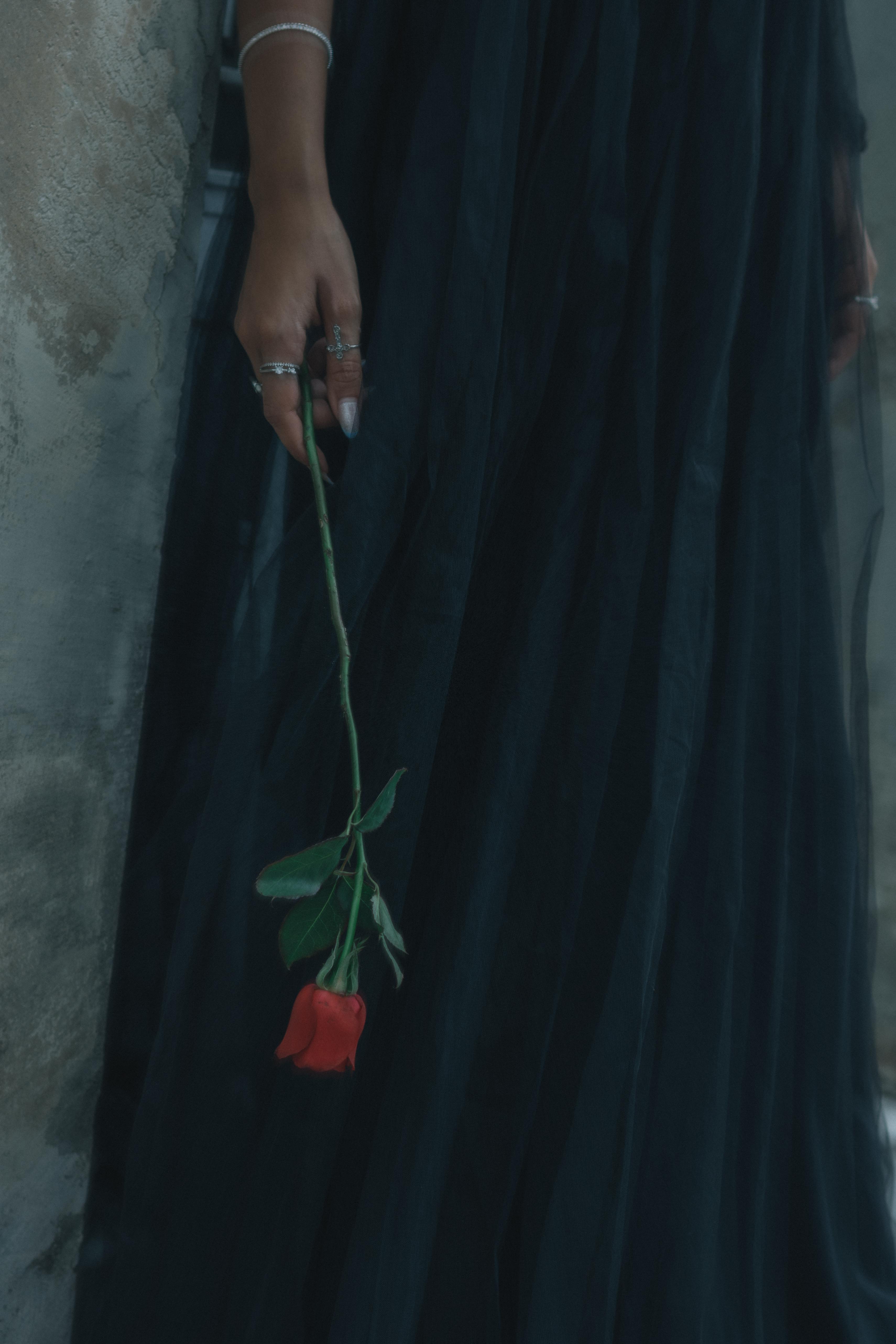 ingyenes Egy sötét ruhás nő egyetlen vörös rózsát tart a kezében, eleganciát és misztikumot sugározva. Stockfotó