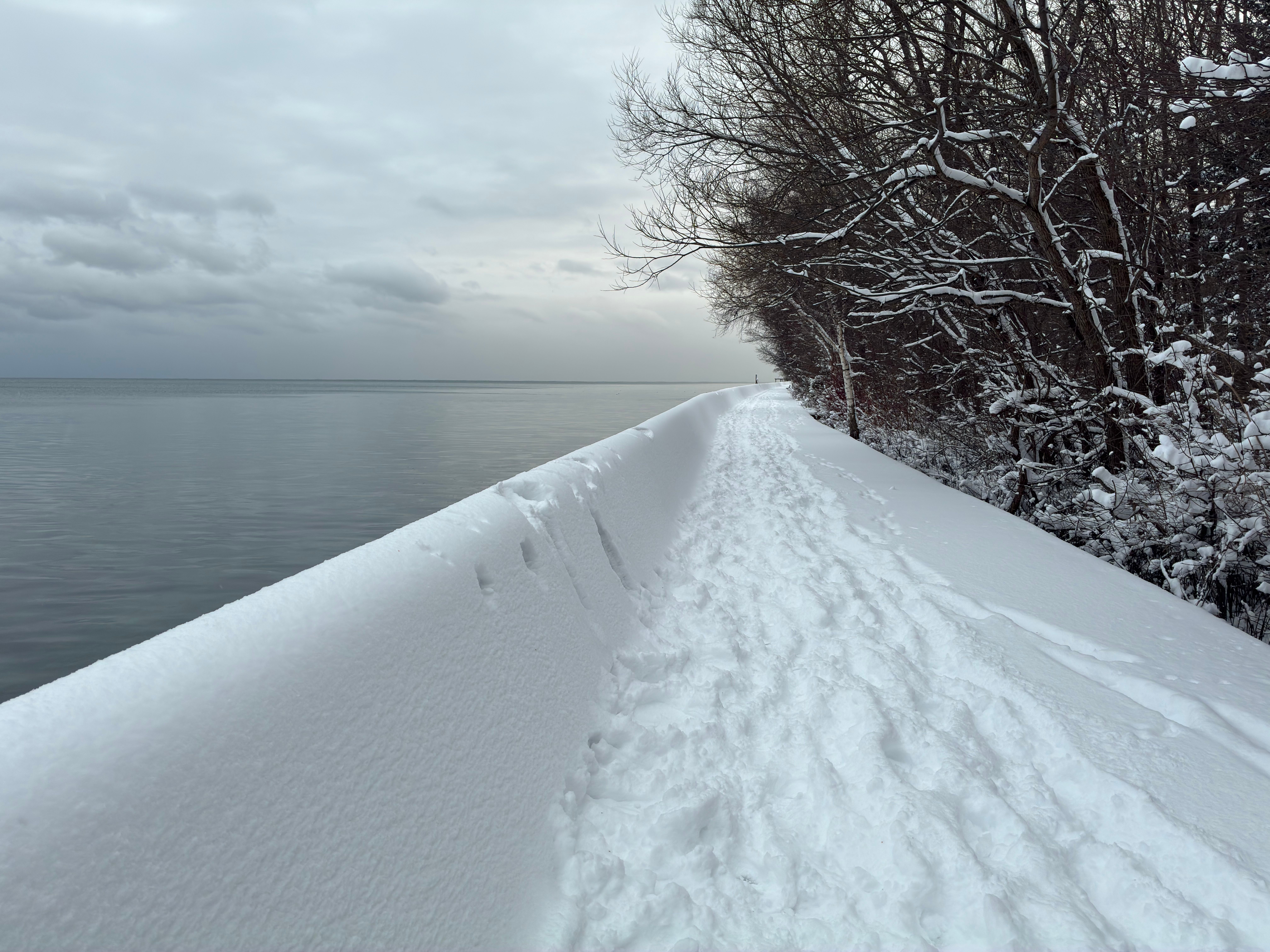 Serene winter scenery of a snowy path by the Lake Ontario shoreline in Ontario, Canada.