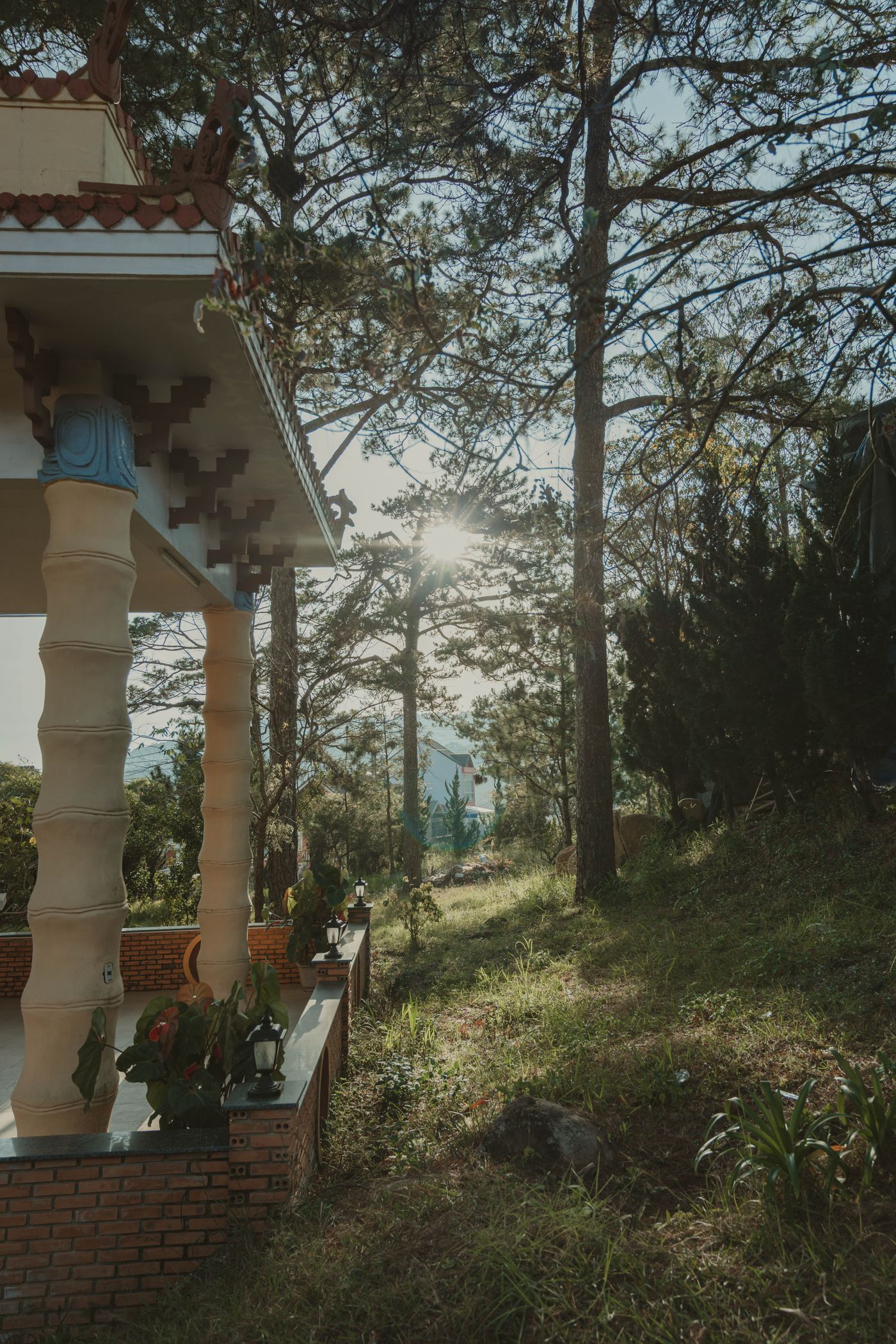 Sunlit villa in pine forest, Da Lat