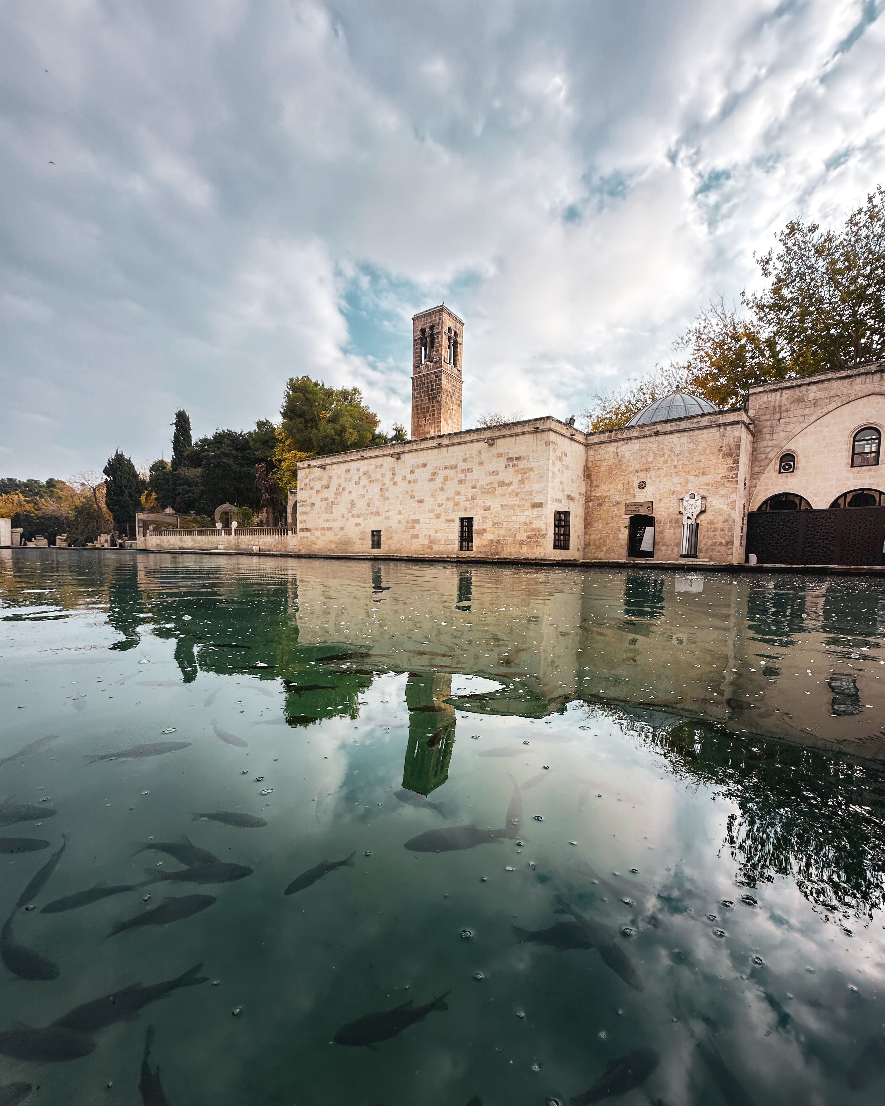Sacred Pool and Mosque in Şanlıurfa, Türkiye · Free Stock Photo