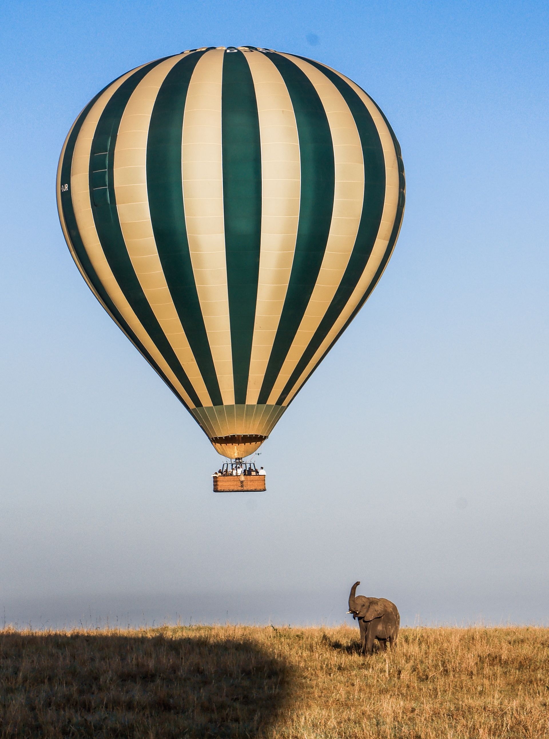 Globo aerostático flotando sobre un elefante en la sabana del Masai Mara al amanecer