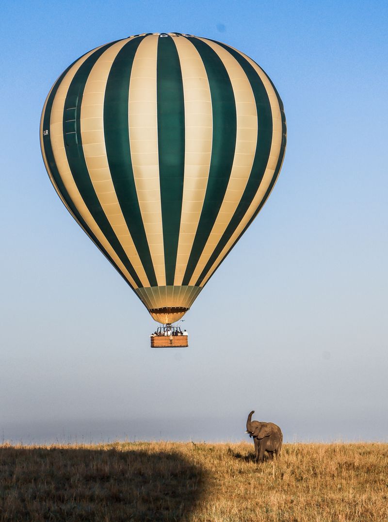 Globo aerostático sobre un elefante en la sabana del Masai Mara al amanecer