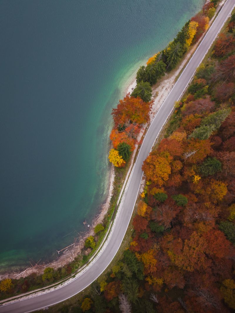 Stunning aerial view of a winding road by a serene lake surrounded by vibrant autumn foliage.
