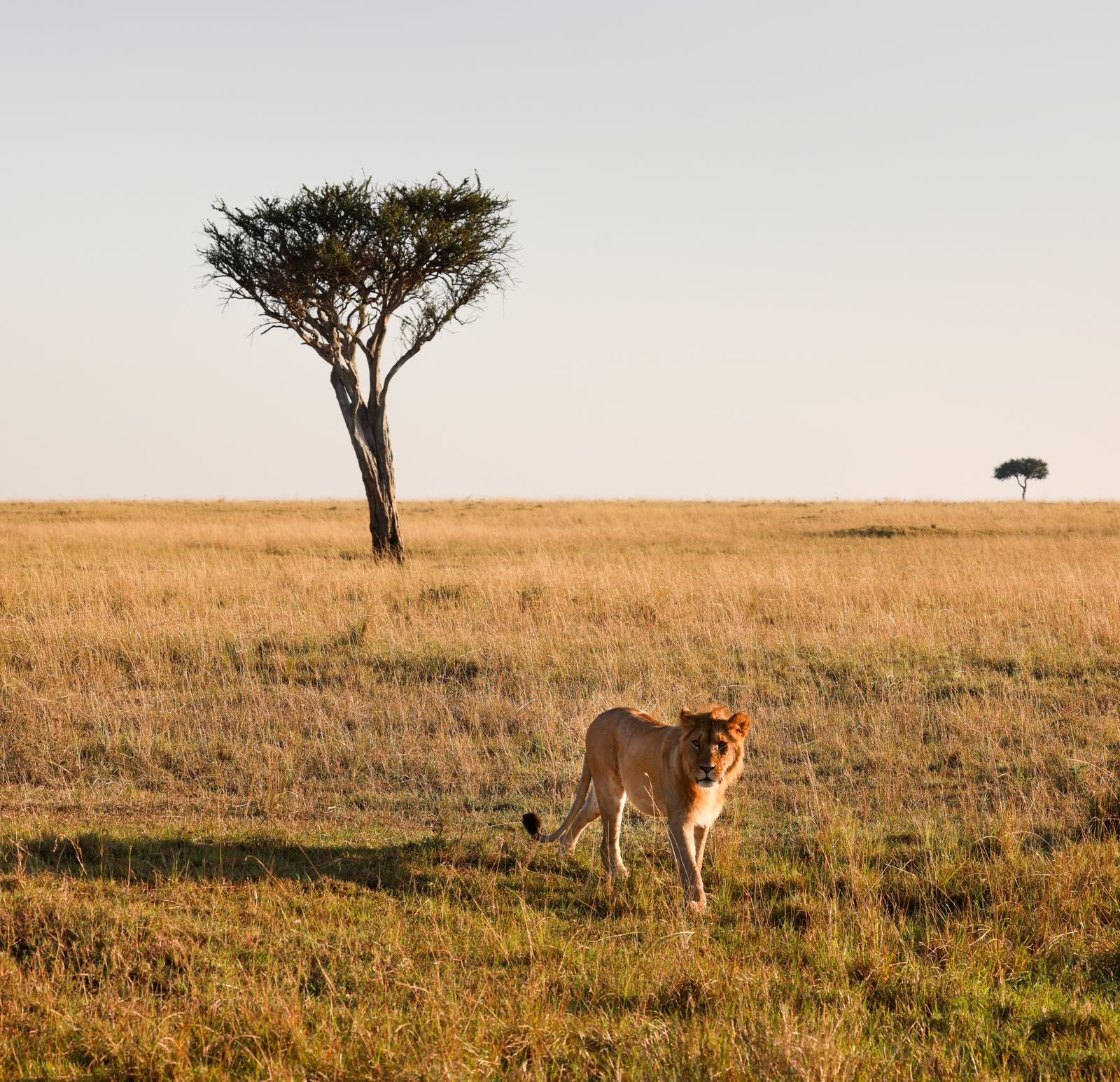 Kenya, Kenya