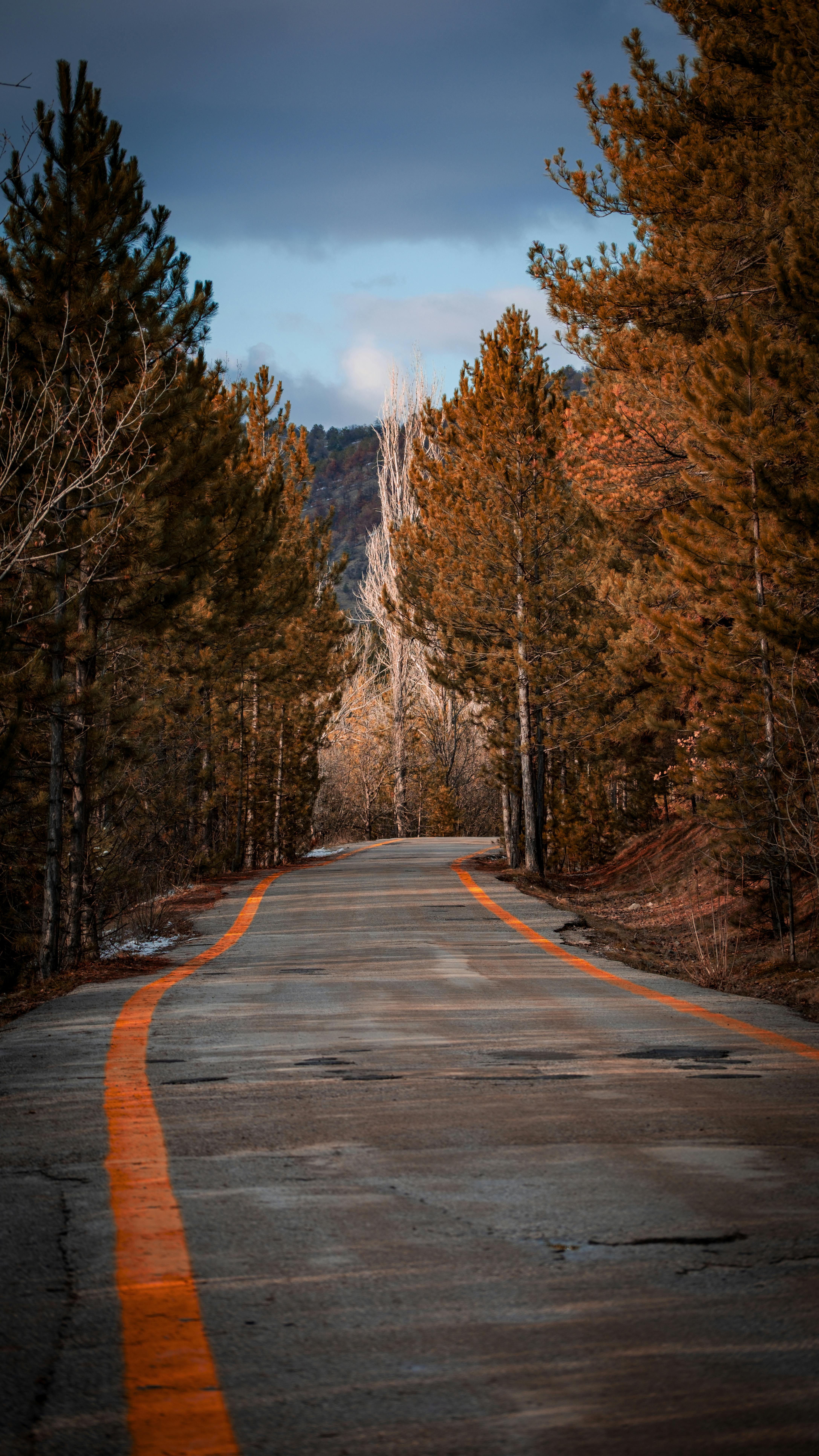 Explore the Wild