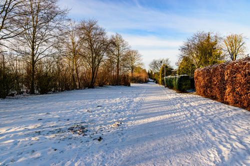 Free A peaceful snowy landscape with a path lined by bare trees, under a clear winter sky. Stock Photo
