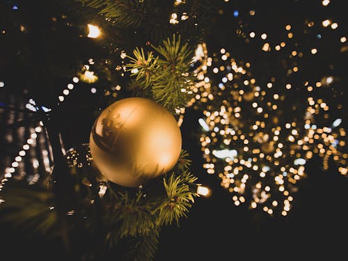 Free stock photo of back light, bokeh, christmas