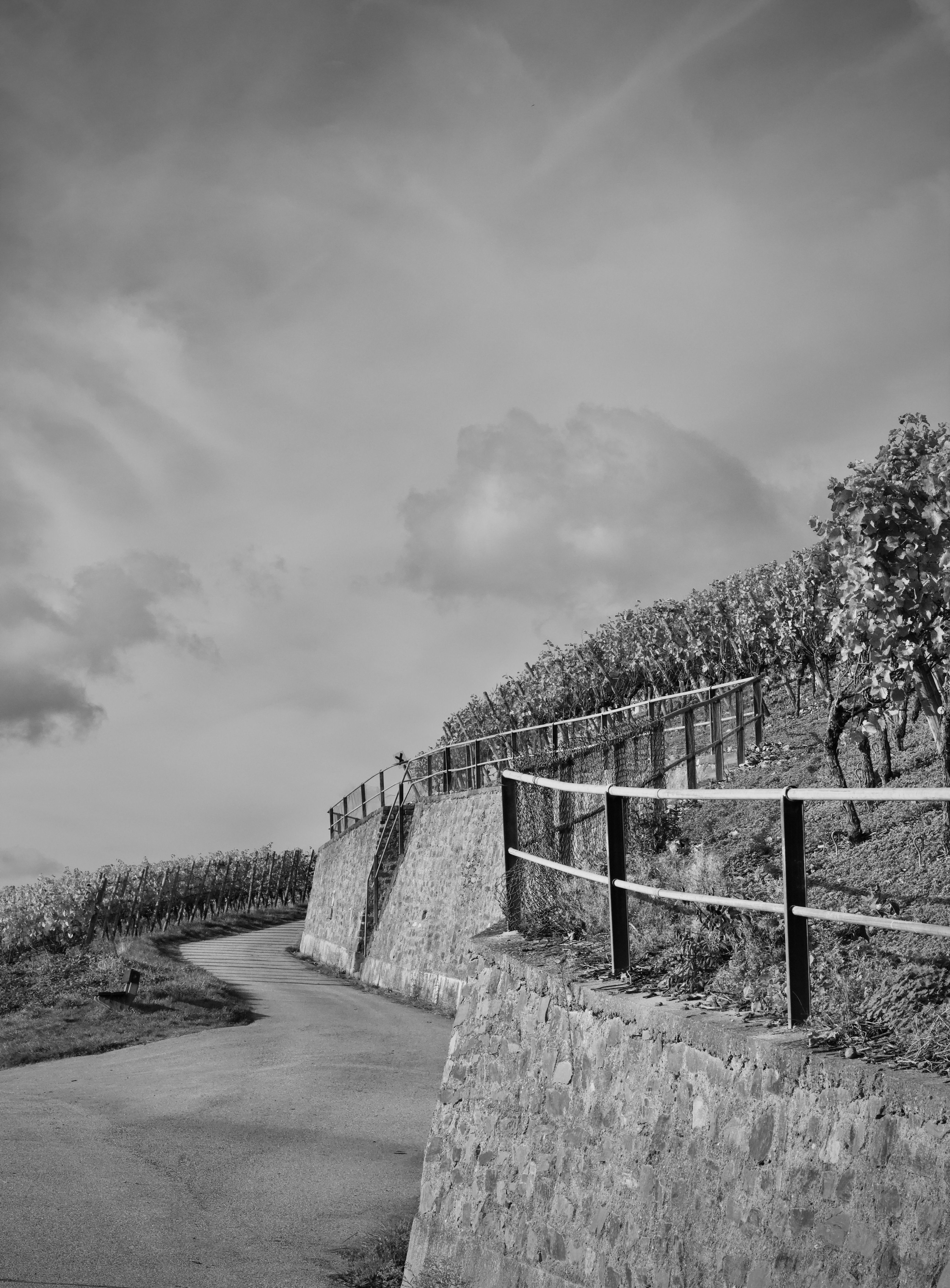 Motovun Wall Circuit