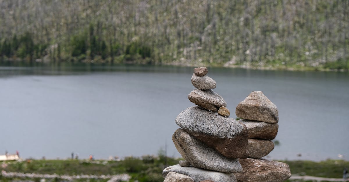 生活:數位冥想:在資訊洪流中找到內心的平靜