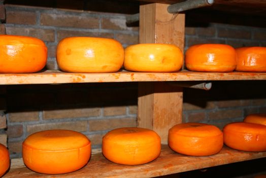 Cheese, Brick