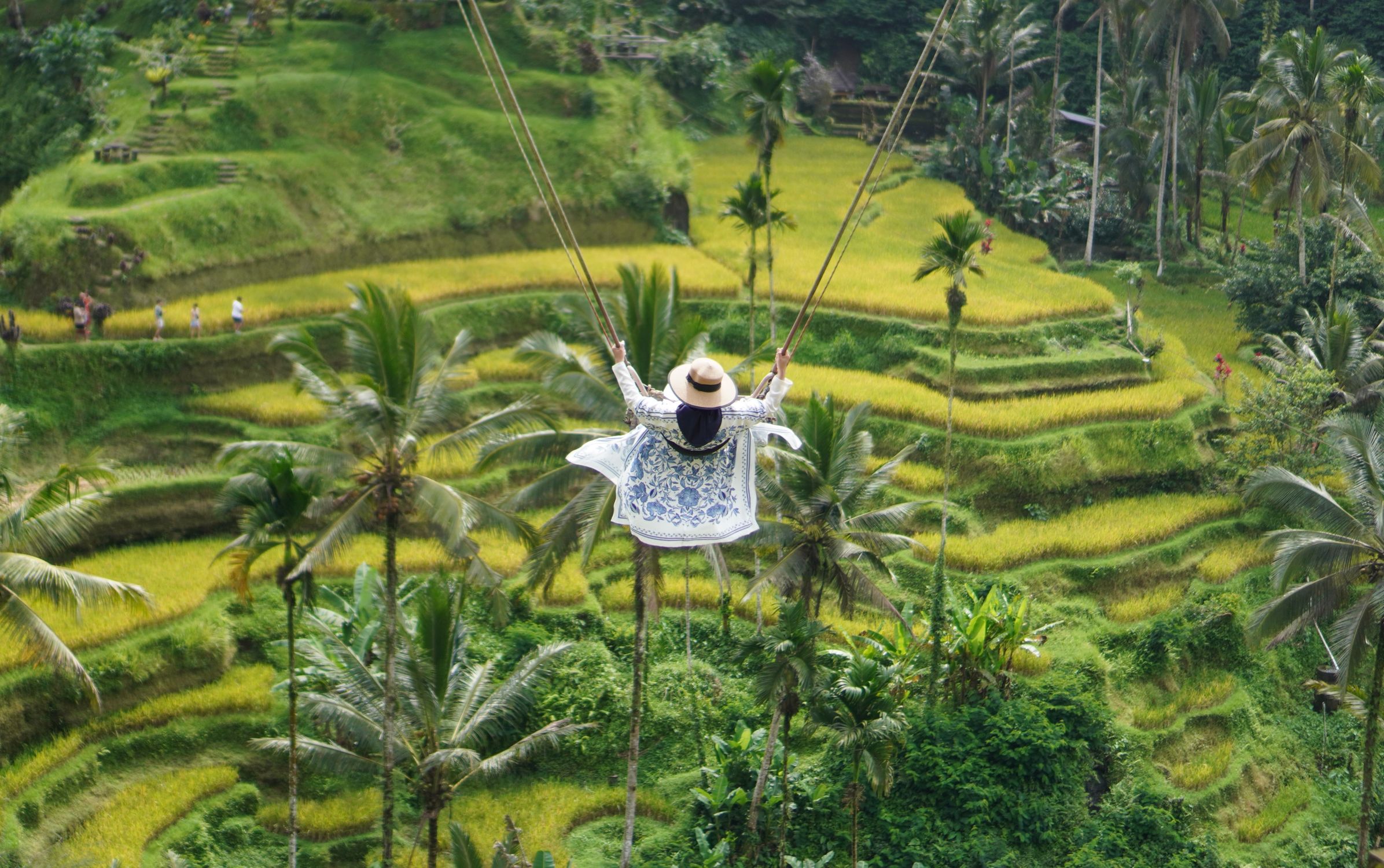 Person swings above lush green rice terraces in Ubud, Bali, creating a captivating scene.