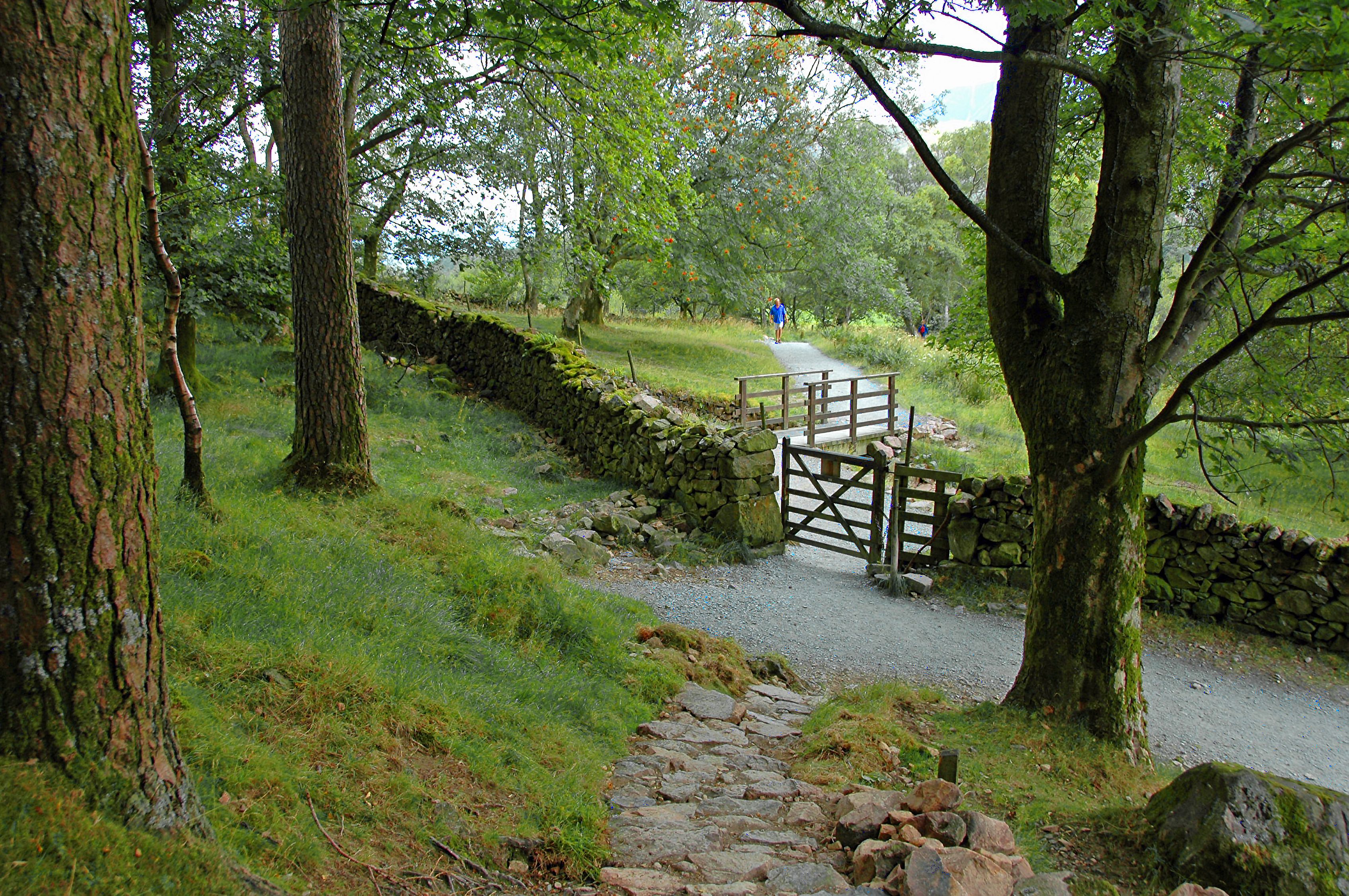 Serene English Countryside Path in Summer · Free Stock Photo