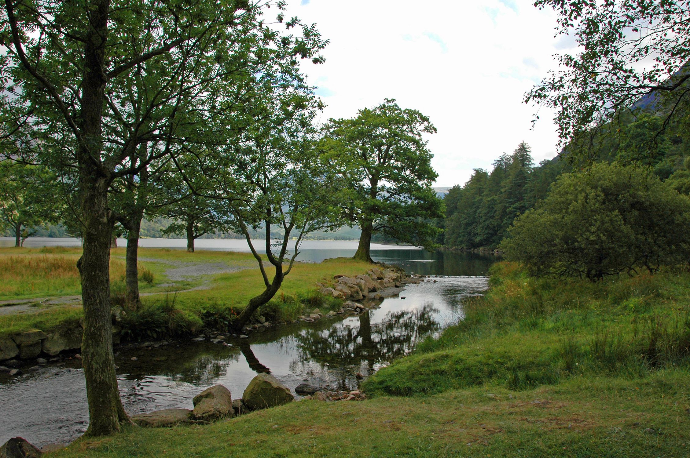 Tranquil Lakeside Landscape with Trees · Free Stock Photo