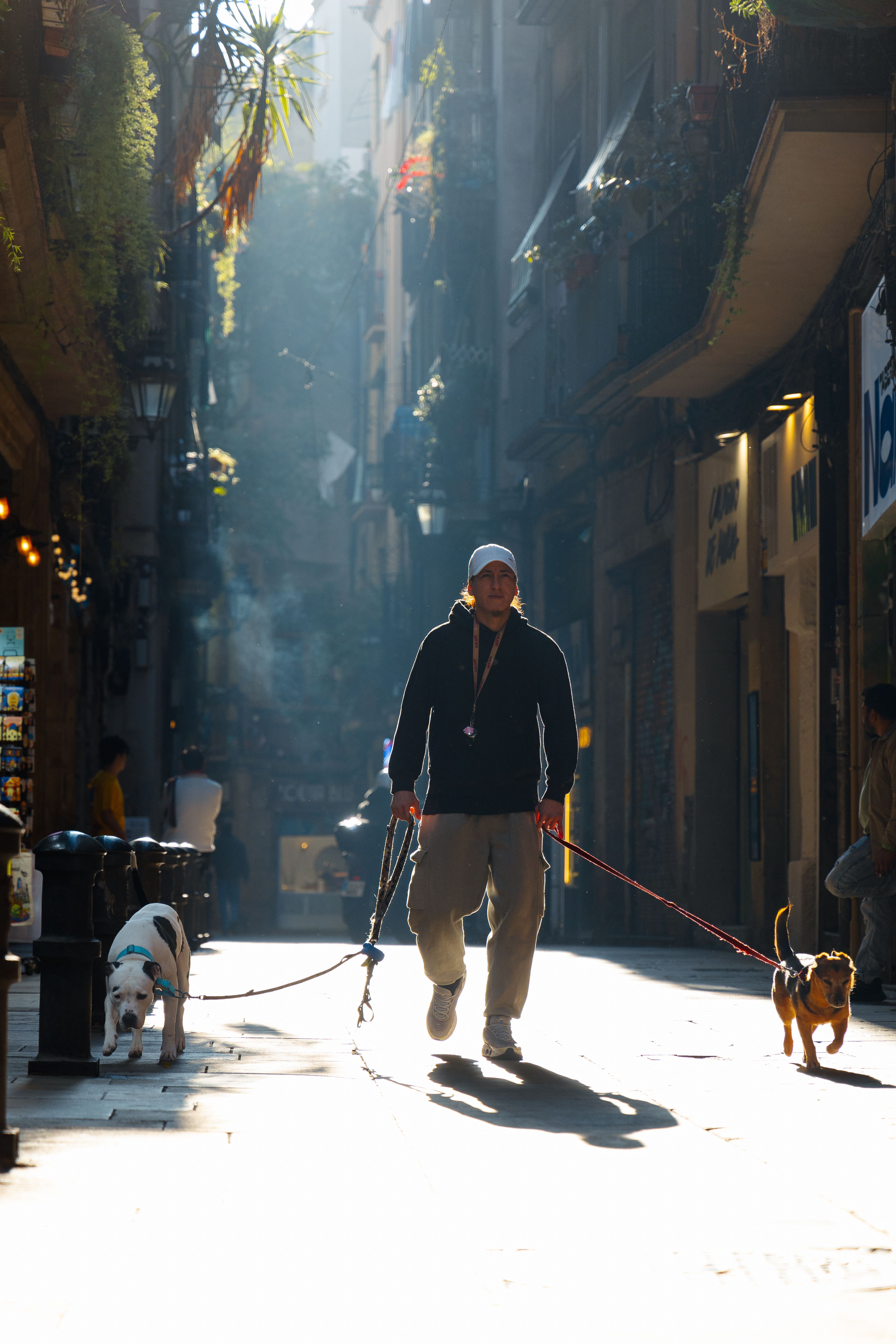 Dog parent walking a dog on a morning city street