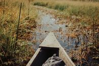 Wooden canoe journeying through a serene marshland with tall grasses.