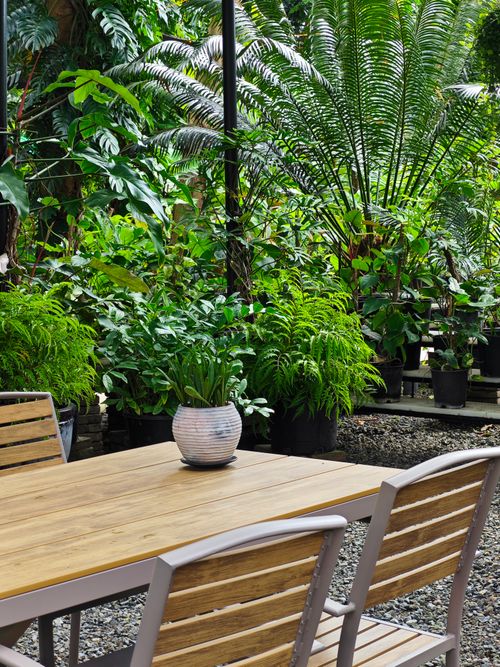 Free Serene garden patio with wooden table and vibrant green plants, perfect for relaxation. Stock Photo
