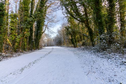 Free A serene winter scene of a snowy path through a wooded park in Tullygally, Northern Ireland. Stock Photo