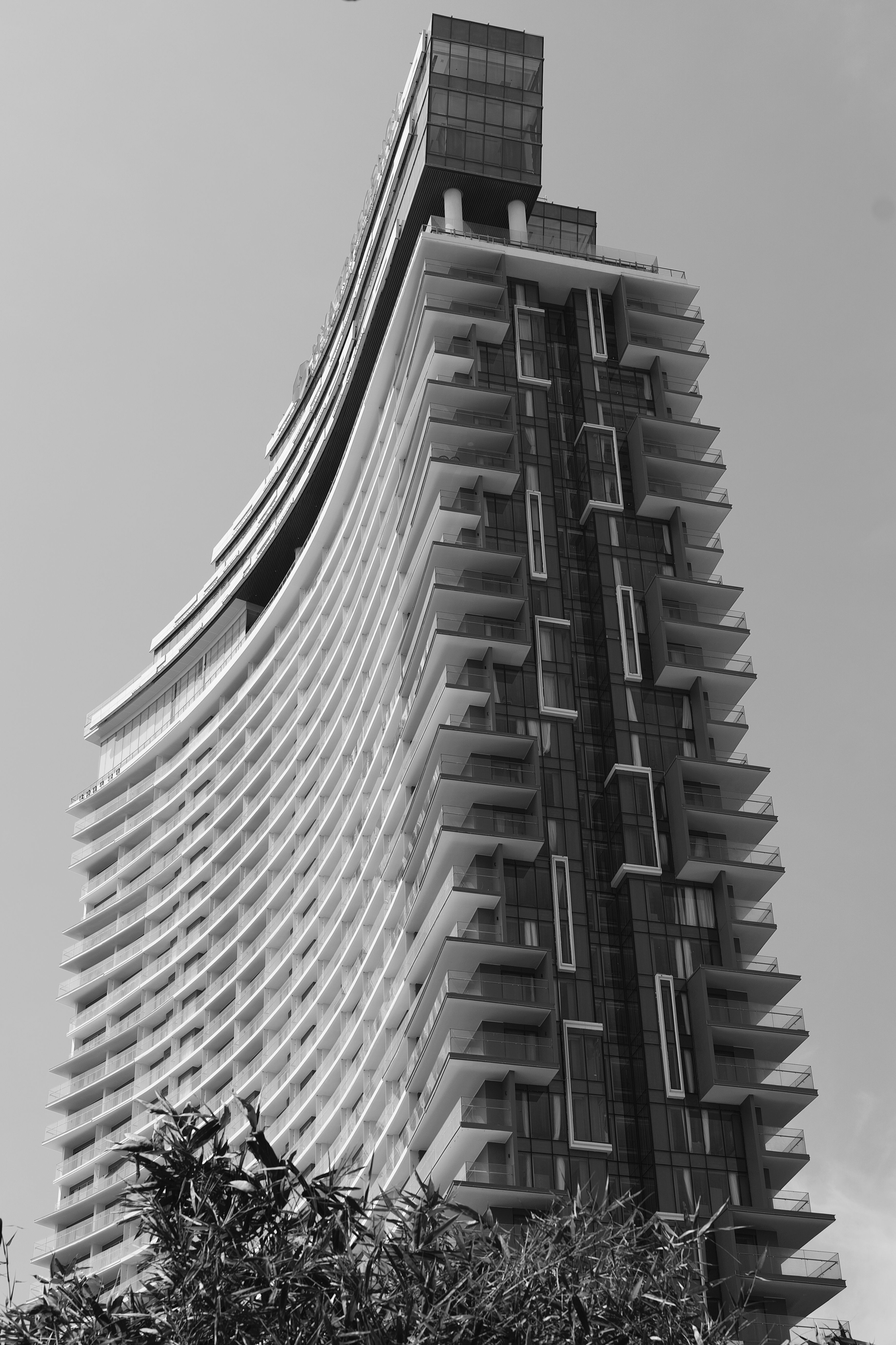 Modern Curved Skyscraper in Black and White · Free Stock Photo
