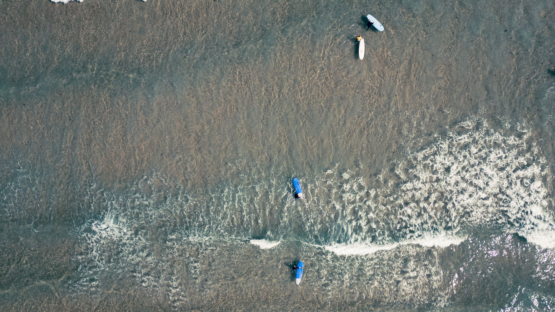 Aerial view of surfers paddling in the ocean, capturing the beauty of the waves and surfboards.