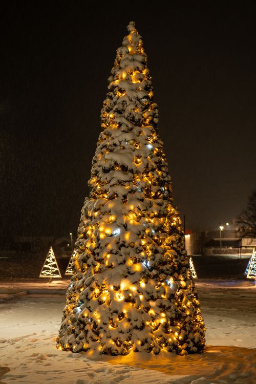 Free A beautifully illuminated Christmas tree covered in snow at night. Perfect holiday atmosphere. Stock Photo