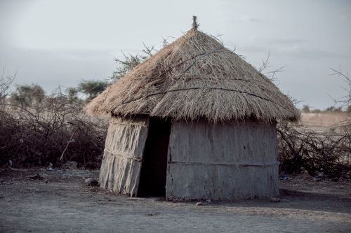 Free A rustic mud hut with a thatched roof in a rural Tanzanian landscape. Stock Photo