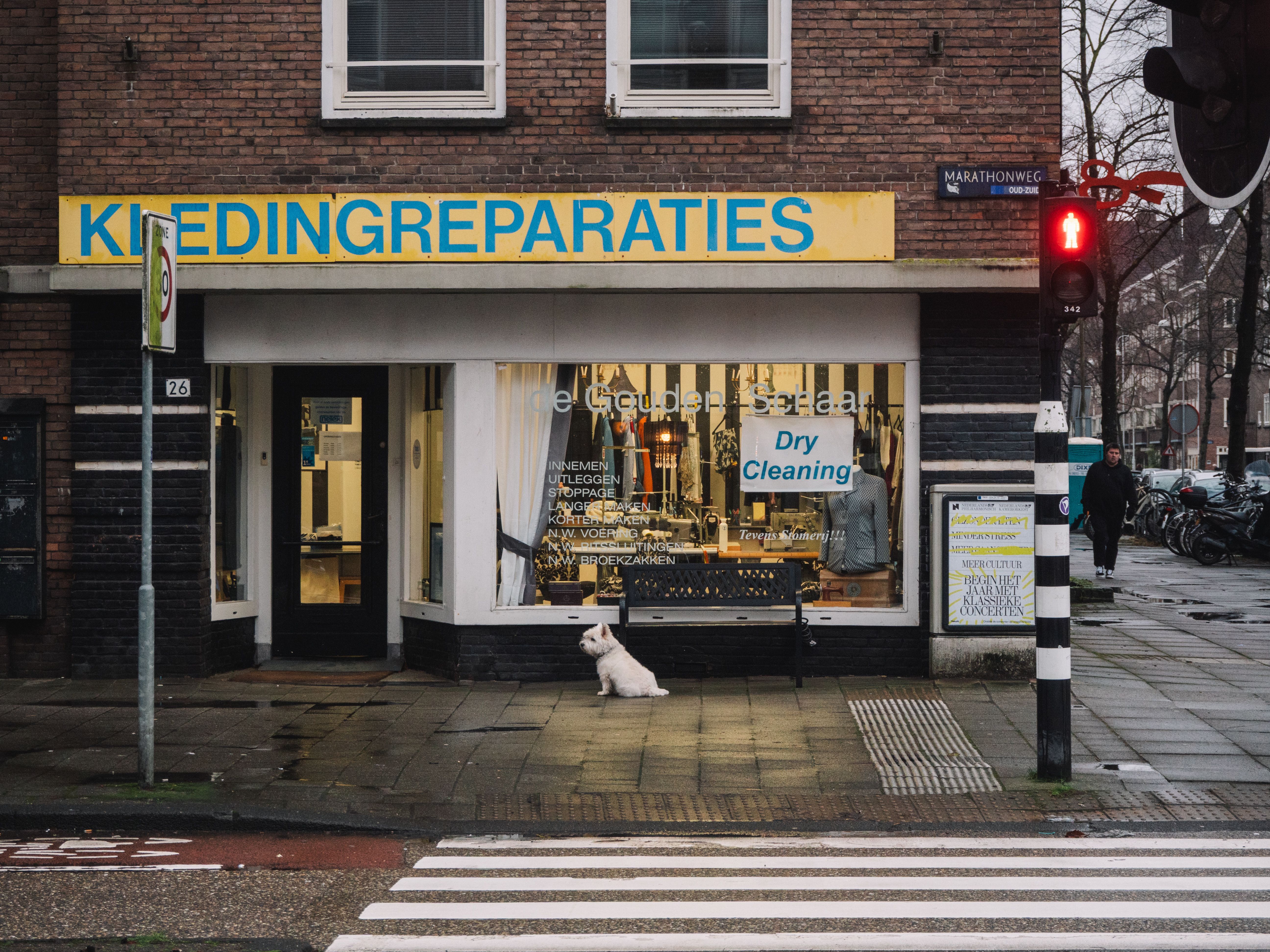 A cozy corner store in Amsterdam with a dog sitting outside on a rainy day.