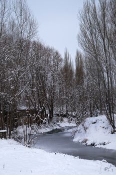 Peaceful winter scene featuring a snow-covered riverbank and leafless trees under a gray sky.