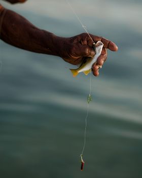Close-up of an adult male holding a fish caught on a line in Zanzibar, Tanzania.
