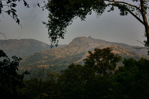 Free A serene view of a lush Nigerian mountain range framed by trees at dusk. Stock Photo