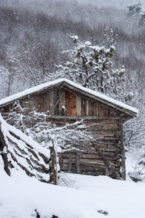Free Rustic wooden cabin surrounded by heavy snowfall in a serene winter forest scene. Stock Photo