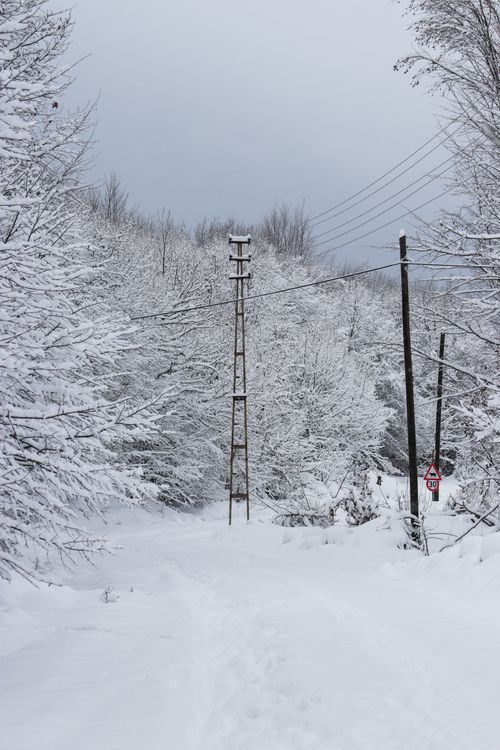 Power Lines in a Winter Landscape · Free Stock Photo